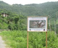 Spread of pest perturbs local farmers