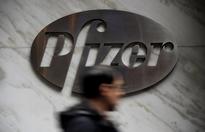 Pfizer Plans to Sell Rest of Its Zoetis Animal Health Stock To Investors