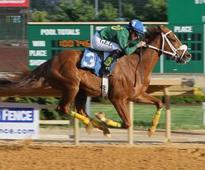 Dick Jerardi: Charles Town star Lucy's Bob Boy headed to Salvator Mile