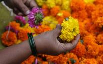 How an Android app saved the crucial marigold harvest for this Indian company