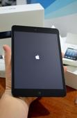 Apple Inc. (AAPL)?s Next iPad Mini: Some Important Details
