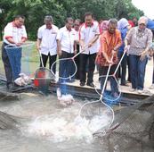 Hooked on the fish trade