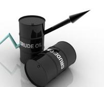 Oil Minister sets ambitious targets for energy independence