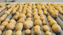Two-star rating for potato video