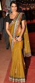 PIX:  Bipasha Basu's Top 10 Sari Moments