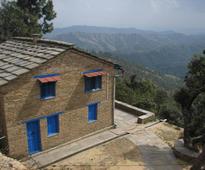 Intoxicated at Binsar