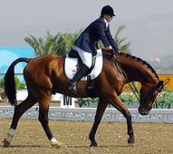 Paralympian rider Joanne Pitt dies