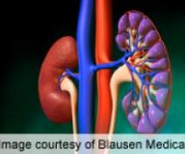Gehlot to fund kidney transplant of merit student