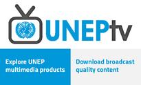 Targeting the Root Causes of Disaster Risk: UNEP Launches First Graduate Course on Disaster, Environment & Risk Reduction