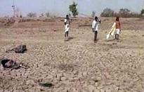 EGoM okays Rs 256 crore to rejuvenate orchards in drought-hit Maharashtra