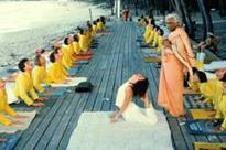 Spring Detox & Juice Fasting Program offered by the Sivananda Yoga Retreat