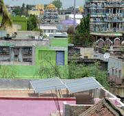 Town panchayat takes a green step