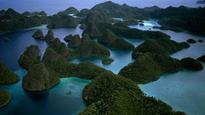 Mind-Blowing Trips