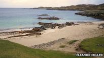 Man dies after Lewis diving accident