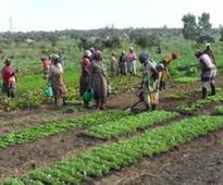 AGRICULTURAL INVESTMENTS OF US$3.8 BILLION EXPECTED TO DRIVE GROWTH OF MOZAMBICAN ECONOMY