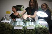 Path to legal pot a long, wild trip