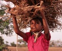 June 12, World Day Against Child Labor-India has 50 lakh child laborers