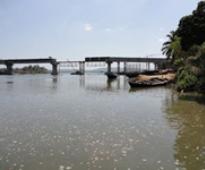 Congress alleges scam in Goa bridge construction