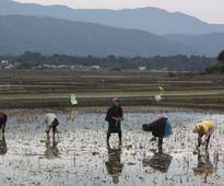 From Arunachal Pradesh, a Tribe Offers Lessons in Ecology