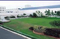 DCGI nod for Zydus Cadila diabetic dyslipidemeia drug