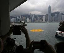 Giant Rubber Duck Drowns Prompting Cries Of Foul Play