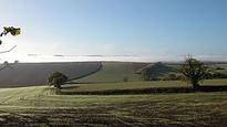 Council trawl for building land