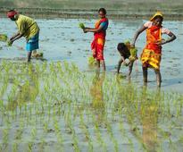 Early monsoon, a good news for farmers