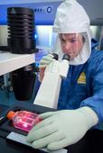 Potential new drug found in the treatment of severe influenza