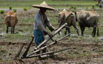 Rising farm wages will lift all boats
