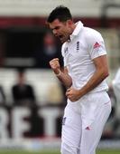 Botham hails 'terrific' Anderson