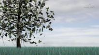 Politics of growth needs a rethink