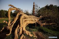 India's tallest minaret Qutab Minar attracts visitors