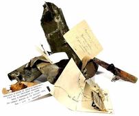 Pieces of Roosevelt's son's WW I plane for auction in France
