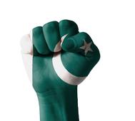 Pakistan Organisations Targeted By Massive Indian Cyber Operation