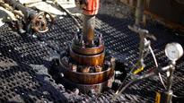 Over 10 new oil fields found in Siberia