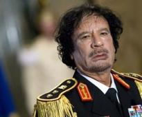 Gaddafi cousin on trial for attempted murder