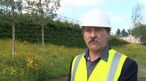Tree planted in memory to Olympic architect
