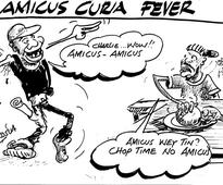 AMICUS CURIA FEVER
