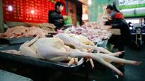 WHO: H7N9 bird flu in China appears under control
