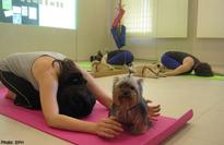 Shape yoga events draws over 700 women