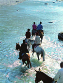 Great Indian Journeys