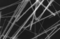 Green Gold: Cornstarch Makes Mining Less Toxic