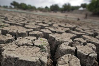 Maha drought: Scams to poor planning, contributors aplenty