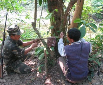 Assam to arm forest staff with AK series weapons