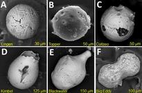Comprehensive analysis of impact spherules supports theory of cosmic impact 12,800 years ago