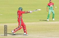 Tigers whimper to series loss