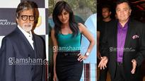 Amitabh Bachchan, Rishi Kapoor and Chitrangda Singh in Sudhir Mishra's MEHRUNISSA - News