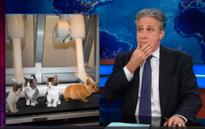 'The Daily Show' rips fawning Senators at Tim Cook's tax hearing