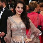After Aishwary Rai-Bachchan, Vidya Balan, Ameesha Patel adds Bollywood tadka to red carpet at Cannes