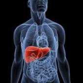 AbbVie hep C combo designated as breakthrough therapy